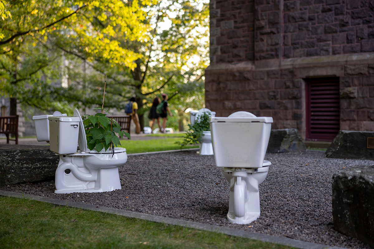 Toilets set in a circle with plants growing in the bowl.