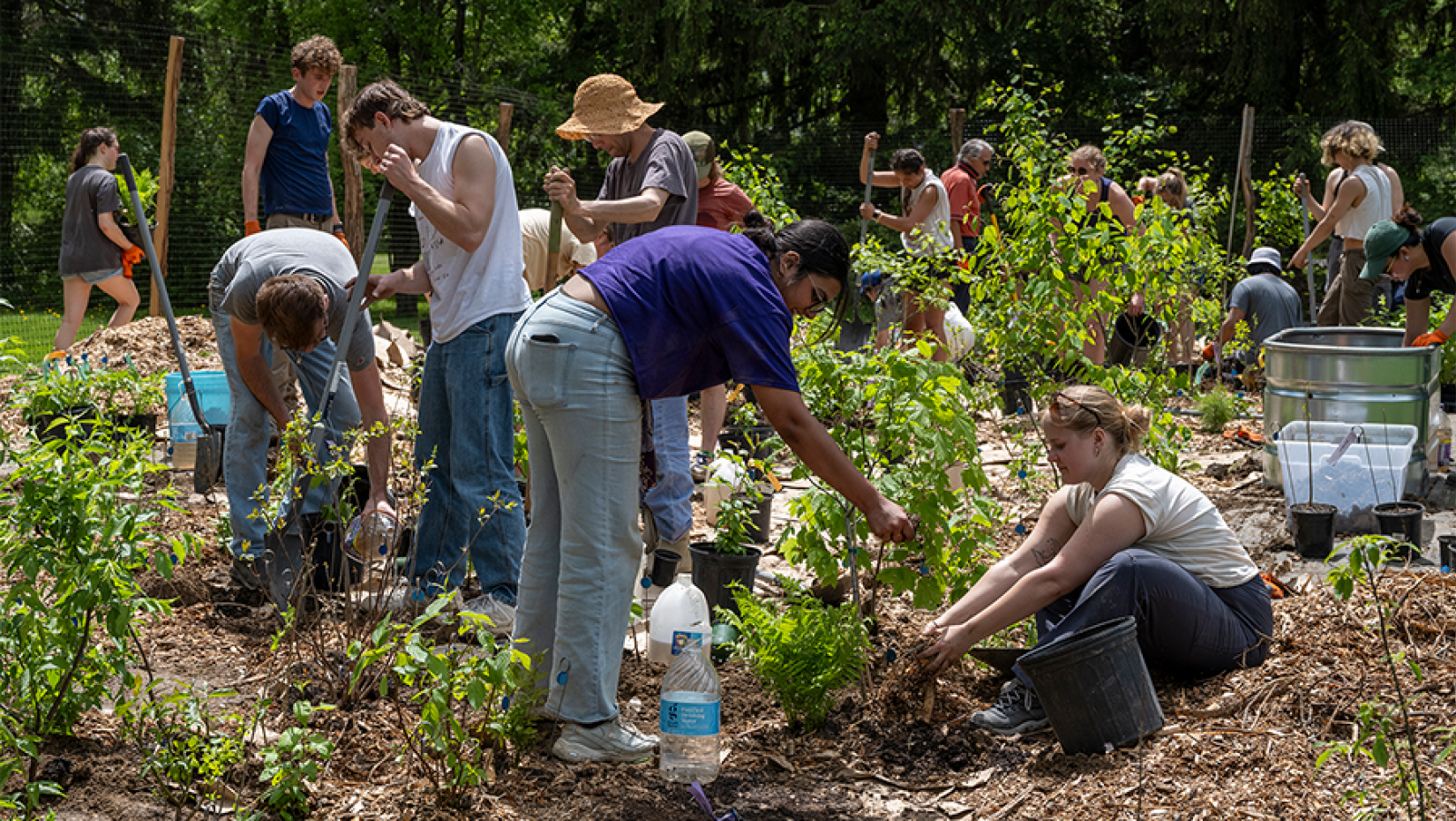 Faculty, students, and community members collaborate to install local trees and shrubs