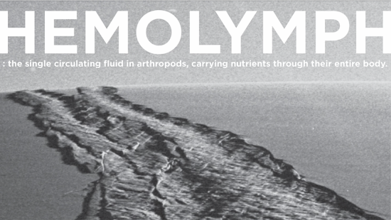 A gray landscape with a river and the exhibition title in large white text.