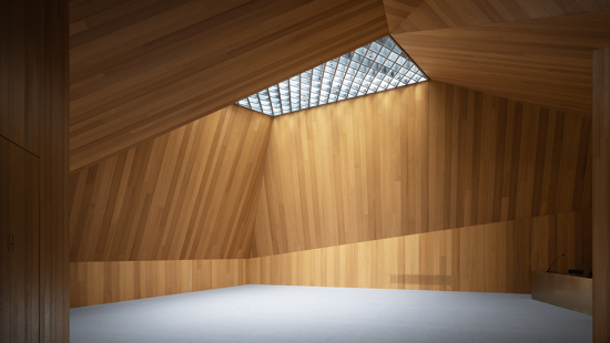 Michel Carlana: Public Library © Marco Cappelletti 