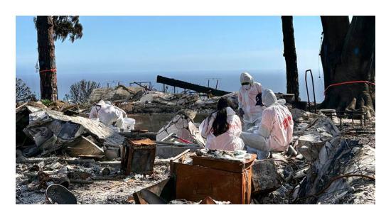 What Remains: Traces of Fire, Memory, and Renewal