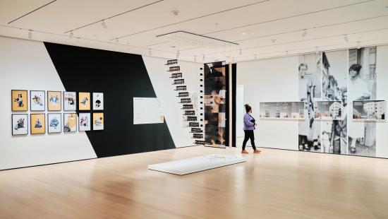 Works by Germane Barnes and Sekou Cooke.