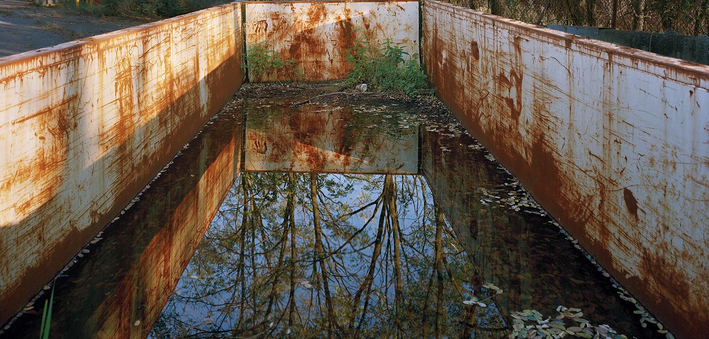 Large brown and white vessel holding water and dead leaves with a reflection of trees.