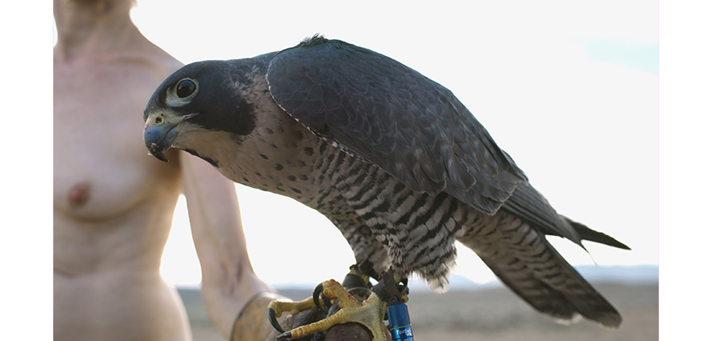A naked woman with pale skin holds a live hawk on their gloved hand against a bright sky background.