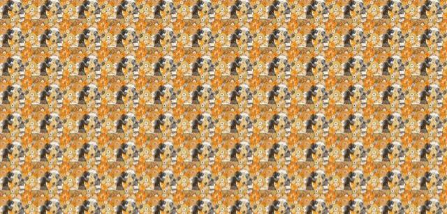 Abstract repetitive image with a dark curved figure against an orange and yellow background.