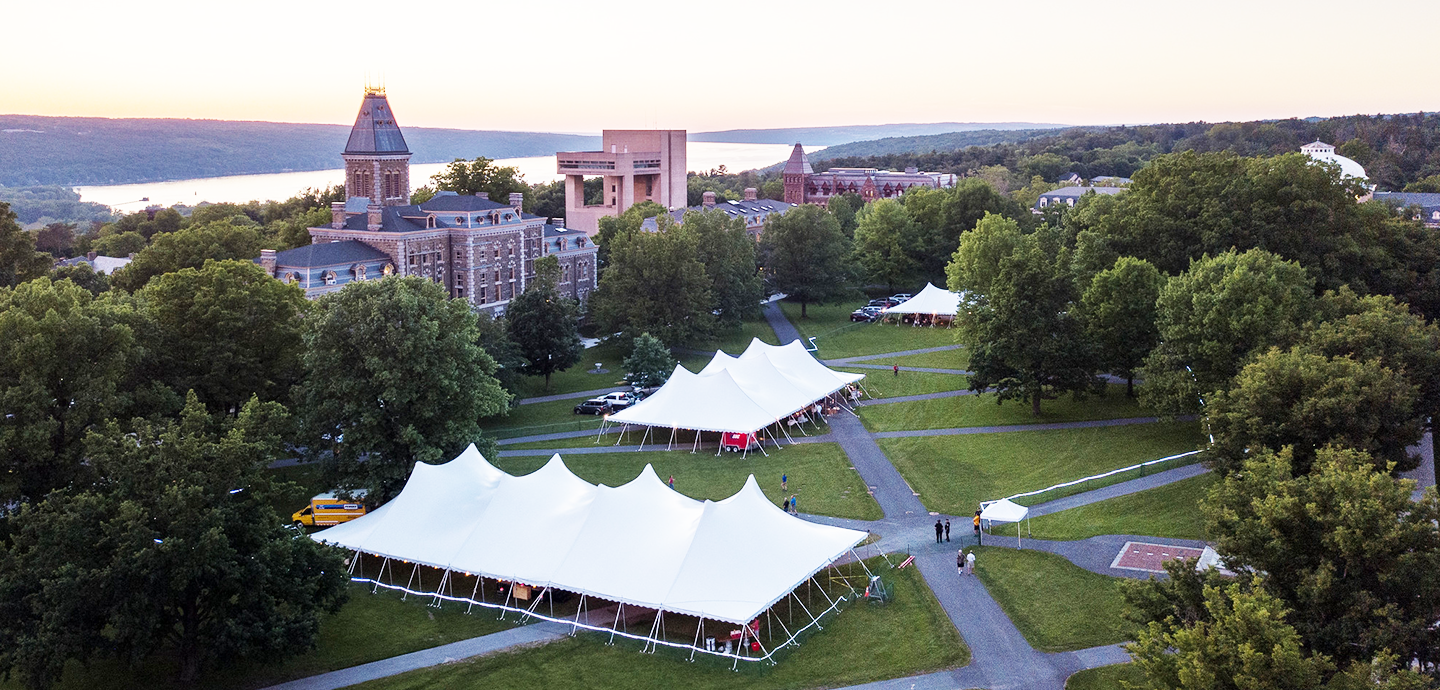 White tents in the middle of a field surrounded by buildings.