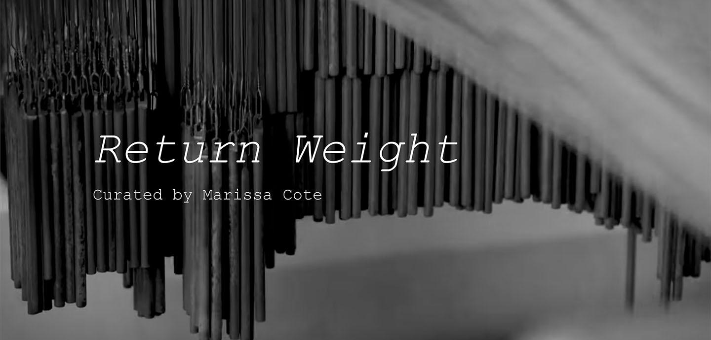 A black and white abstract landscape, with long, narrow poles extending out of sight.