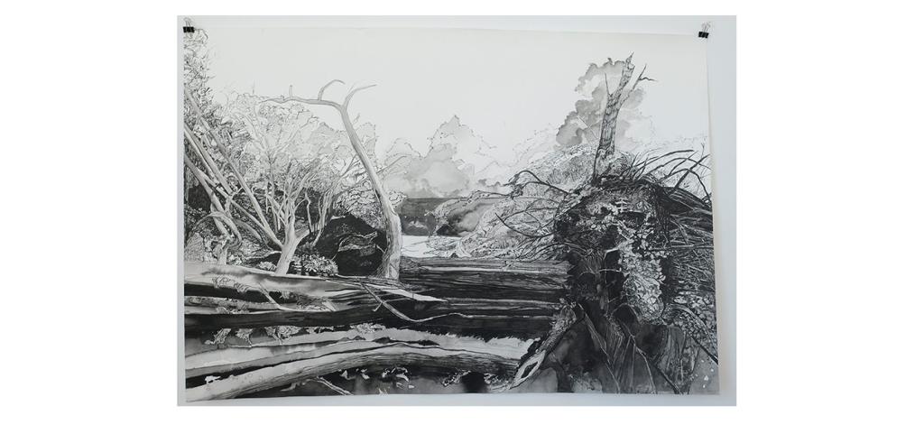 ink watercolor drawing on paper of trees and water