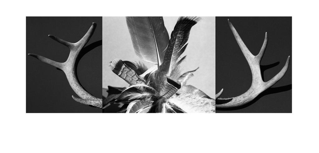 deer antlers with feathers in the center