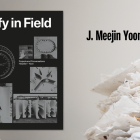J. Meejin Yoon (Architecture), Verify in Field.