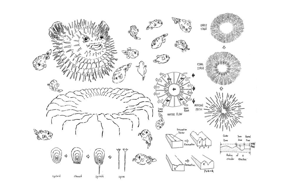 Multiple drawing studies of puffer fishes and drafts of a wheel-like structure that seems to be based on it.
