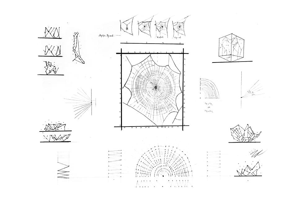 Multiple drawings of spider web-like structures.