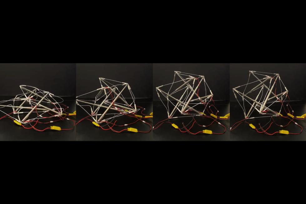 A grid showcasing an structure format by cylinders and wires in different stages of movement.