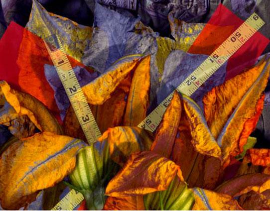 Blossom Tape (2004), giclee print from digital file. 